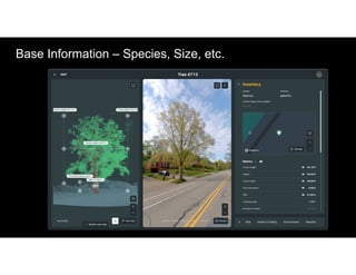 Base Information – Species, Size, etc.
 
