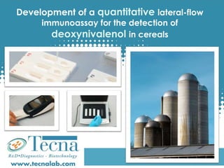 Development of a quantitative lateral-flow
immunoassay for the detection of
deoxynivalenol in cereals
 