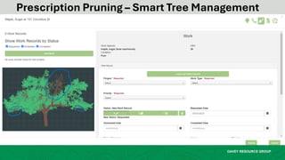 Smart Tree Management: Superpower or Hoo-ha? - Wisconsin Arborist ...