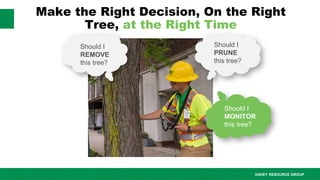 Smart Tree Management Webinar 7-22-2025.pdf
