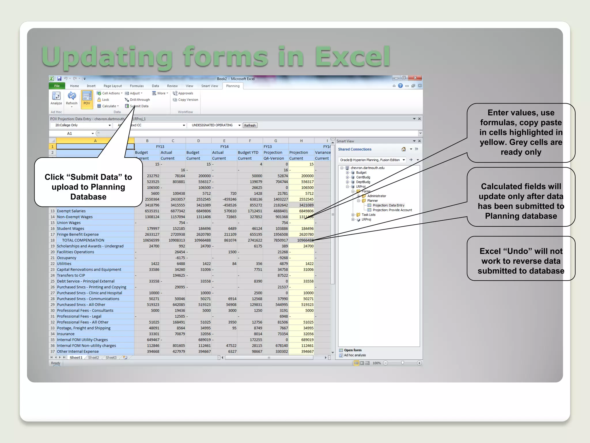 Updating forms in Excel
16
Enter values, use
formulas, copy paste
in cells highlighted in
yellow. Grey cells are
ready only
Calculated fields will
update only after data
has been submitted to
Planning database
Click “Submit Data” to
upload to Planning
Database
Excel “Undo” will not
work to reverse data
submitted to database
 