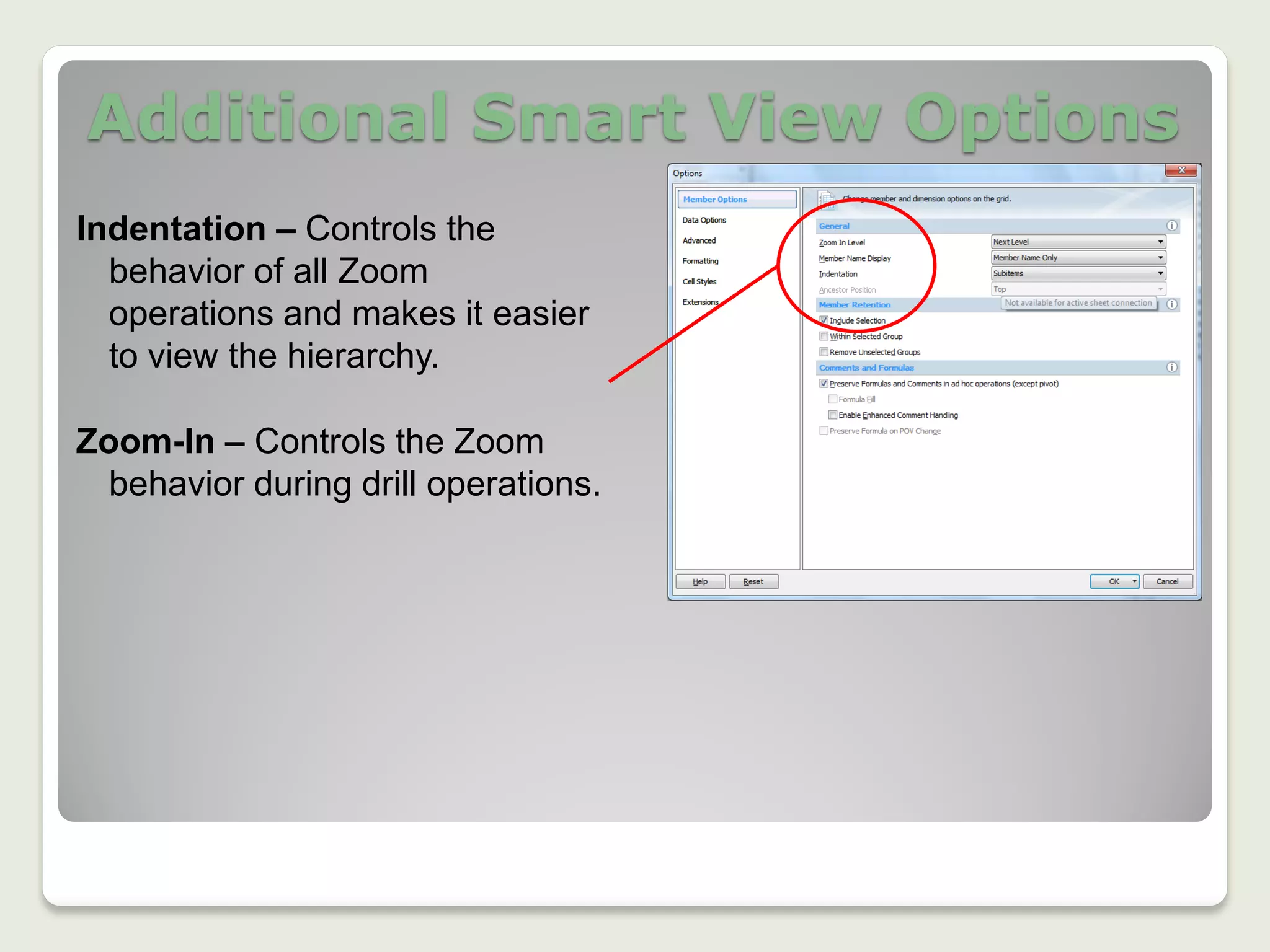 Additional Smart View Options
Zoom-In – Controls the Zoom
behavior during drill operations.
Indentation – Controls the
behavior of all Zoom
operations and makes it easier
to view the hierarchy.
 