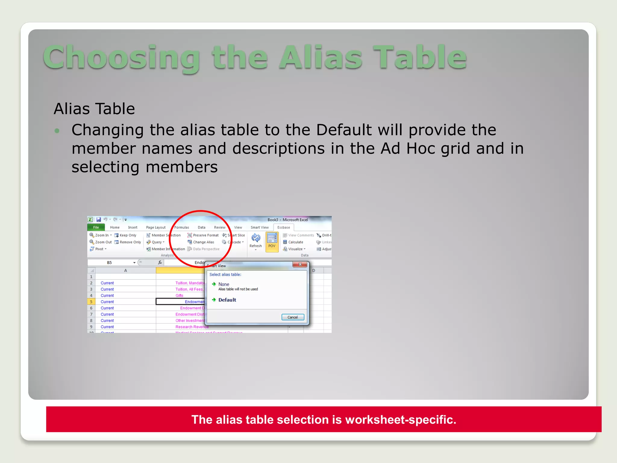 Choosing the Alias Table
Alias Table
 Changing the alias table to the Default will provide the
member names and descriptions in the Ad Hoc grid and in
selecting members
The alias table selection is worksheet-specific.
 