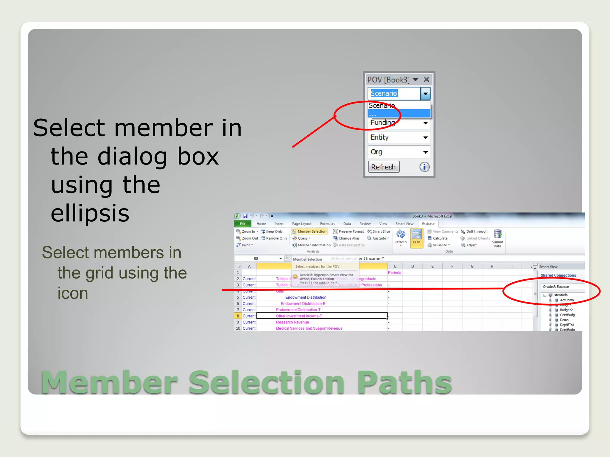 Member Selection Paths
Select member in
the dialog box
using the
ellipsis
Select members in
the grid using the
icon
 
