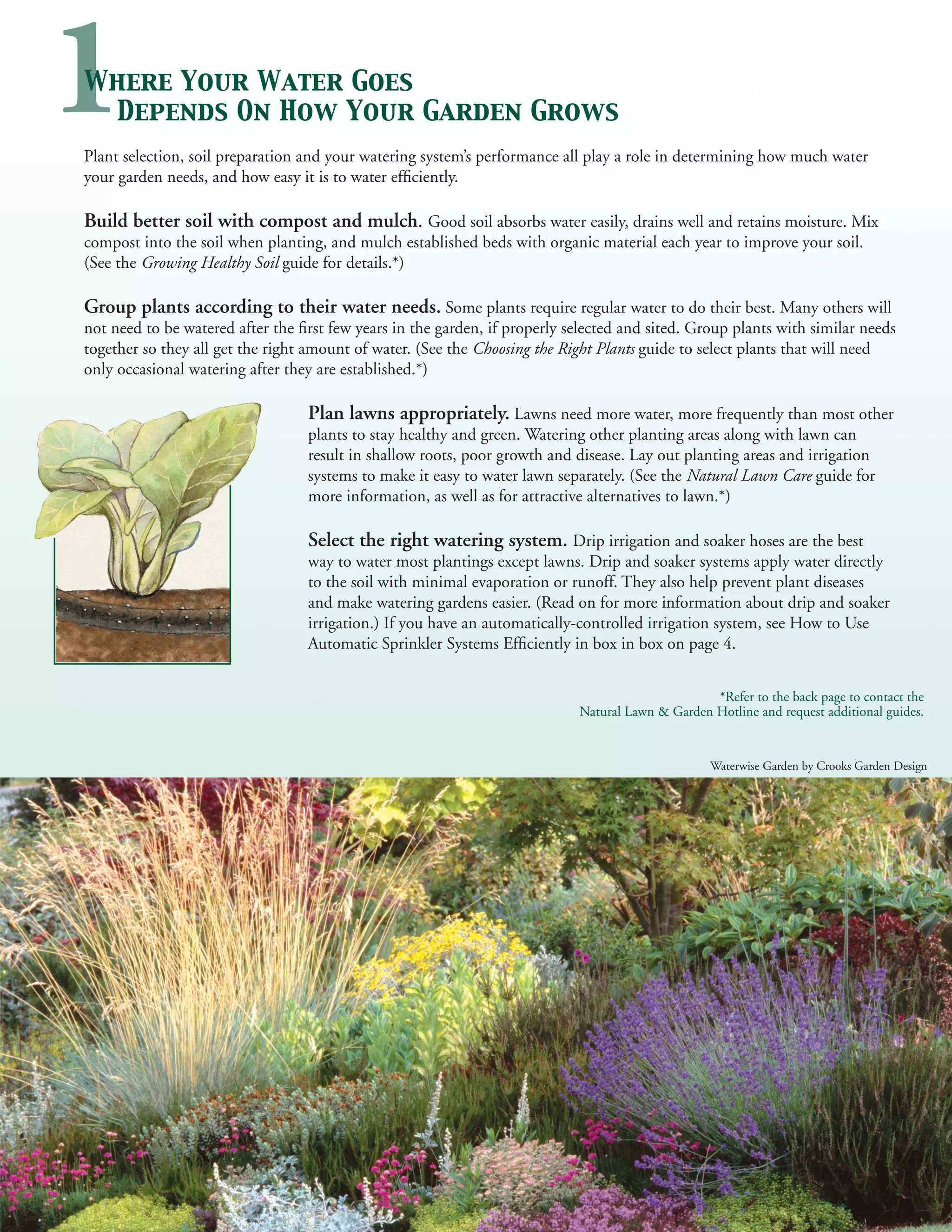 1
Where Your Water Goes
 Depends On How Your Garden Grows
Plant selection, soil preparation and your watering system’s performance all play a role in determining how much water
your garden needs, and how easy it is to water efficiently.

Build better soil with compost and mulch. Good soil absorbs water easily, drains well and retains moisture. Mix
compost into the soil when planting, and mulch established beds with organic material each year to improve your soil.
(See the Growing Healthy Soil guide for details.*)

Group plants according to their water needs. Some plants require regular water to do their best. Many others will
not need to be watered after the first few years in the garden, if properly selected and sited. Group plants with similar needs
together so they all get the right amount of water. (See the Choosing the Right Plants guide to select plants that will need
only occasional watering after they are established.*)

                                   Plan lawns appropriately. Lawns need more water, more frequently than most other
                                   plants to stay healthy and green. Watering other planting areas along with lawn can
                                   result in shallow roots, poor growth and disease. Lay out planting areas and irrigation
                                   systems to make it easy to water lawn separately. (See the Natural Lawn Care guide for
                                   more information, as well as for attractive alternatives to lawn.*)

                                   Select the right watering system. Drip irrigation and soaker hoses are the best
                                   way to water most plantings except lawns. Drip and soaker systems apply water directly
                                   to the soil with minimal evaporation or runoff. They also help prevent plant diseases
                                   and make watering gardens easier. (Read on for more information about drip and soaker
                                   irrigation.) If you have an automatically-controlled irrigation system, see How to Use
                                   Automatic Sprinkler Systems Efficiently in box in box on page 4.


                                                                                                   *Refer to the back page to contact the
                                                                             Natural Lawn & Garden Hotline and request additional guides.


                                                                                                   Waterwise Garden by Crooks Garden Design
 