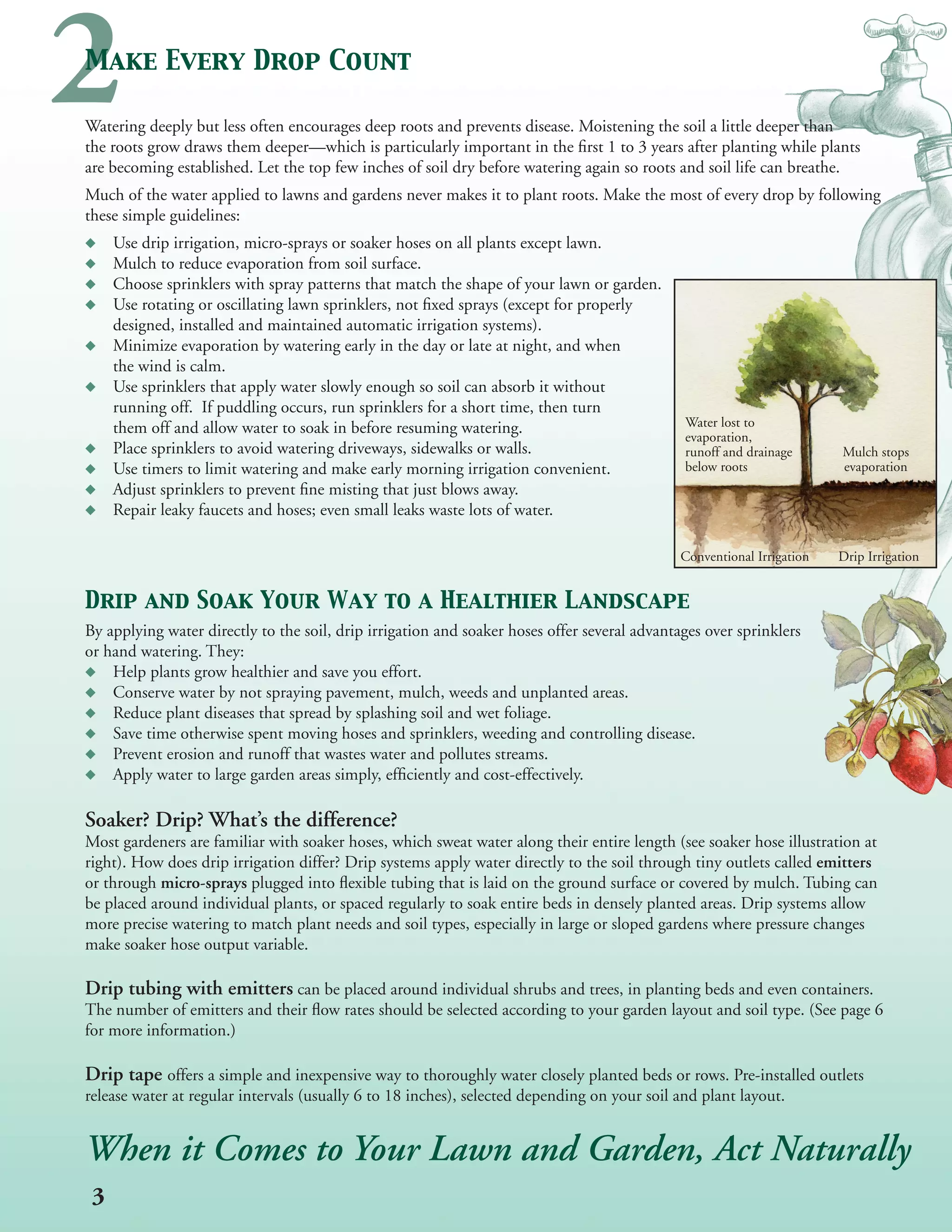 2
Make Every Drop Count

Watering deeply but less often encourages deep roots and prevents disease. Moistening the soil a little deeper than
the roots grow draws them deeper—which is particularly important in the first 1 to 3 years after planting while plants
are becoming established. Let the top few inches of soil dry before watering again so roots and soil life can breathe.
Much of the water applied to lawns and gardens never makes it to plant roots. Make the most of every drop by following
these simple guidelines:
     Use drip irrigation, micro-sprays or soaker hoses on all plants except lawn.
     Mulch to reduce evaporation from soil surface.
     Choose sprinklers with spray patterns that match the shape of your lawn or garden.
     Use rotating or oscillating lawn sprinklers, not fixed sprays (except for properly
     designed, installed and maintained automatic irrigation systems).
     Minimize evaporation by watering early in the day or late at night, and when
     the wind is calm.
     Use sprinklers that apply water slowly enough so soil can absorb it without
     running off. If puddling occurs, run sprinklers for a short time, then turn
     them off and allow water to soak in before resuming watering.                            Water lost to
                                                                                              evaporation,
     Place sprinklers to avoid watering driveways, sidewalks or walls.                        runoff and drainage       Mulch stops
     Use timers to limit watering and make early morning irrigation convenient.               below roots               evaporation
     Adjust sprinklers to prevent fine misting that just blows away.
     Repair leaky faucets and hoses; even small leaks waste lots of water.

                                                                                              Conventional Irrigation   Drip Irrigation


Drip and Soak Your Way to a Healthier Landscape
By applying water directly to the soil, drip irrigation and soaker hoses offer several advantages over sprinklers
or hand watering. They:
    Help plants grow healthier and save you effort.
    Conserve water by not spraying pavement, mulch, weeds and unplanted areas.
    Reduce plant diseases that spread by splashing soil and wet foliage.
    Save time otherwise spent moving hoses and sprinklers, weeding and controlling disease.
    Prevent erosion and runoff that wastes water and pollutes streams.
    Apply water to large garden areas simply, efficiently and cost-effectively.

Soaker? Drip? What’s the difference?
Most gardeners are familiar with soaker hoses, which sweat water along their entire length (see soaker hose illustration at
right). How does drip irrigation differ? Drip systems apply water directly to the soil through tiny outlets called emitters
or through micro-sprays plugged into flexible tubing that is laid on the ground surface or covered by mulch. Tubing can
be placed around individual plants, or spaced regularly to soak entire beds in densely planted areas. Drip systems allow
more precise watering to match plant needs and soil types, especially in large or sloped gardens where pressure changes
make soaker hose output variable.

Drip tubing with emitters can be placed around individual shrubs and trees, in planting beds and even containers.
The number of emitters and their flow rates should be selected according to your garden layout and soil type. (See page 6
for more information.)

Drip tape offers a simple and inexpensive way to thoroughly water closely planted beds or rows. Pre-installed outlets
release water at regular intervals (usually 6 to 18 inches), selected depending on your soil and plant layout.


When it Comes to Your Lawn and Garden, Act Naturally
 3
 