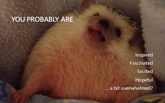 The Wheel Is Spinning But The Hamster Is Almost Dead Smartweb 2015
