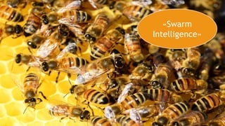 «Swarm
Intelligence»
 