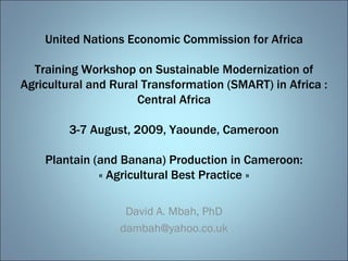 United Nations Economic Commission for Africa Training Workshop on Sustainable Modernization of Agricultural and Rural Transformation (SMART) in Africa : Central Africa 3-7 August, 2009, Yaounde, Cameroon Plantain (and Banana) Production in Cameroon: « Agricultural Best Practice » David A. Mbah, PhD [email_address] 