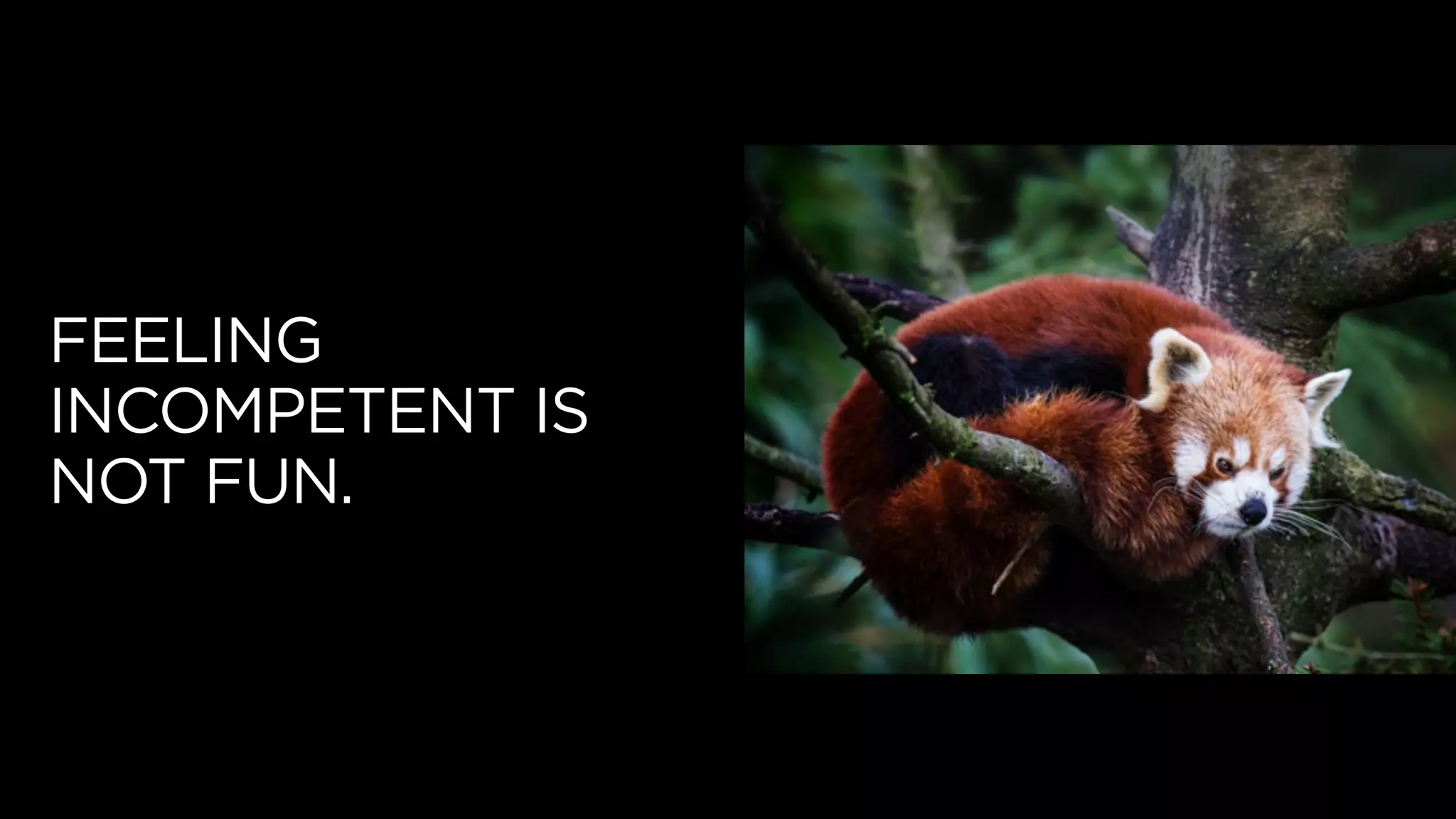 FEELING
INCOMPETENT IS
NOT FUN.
 