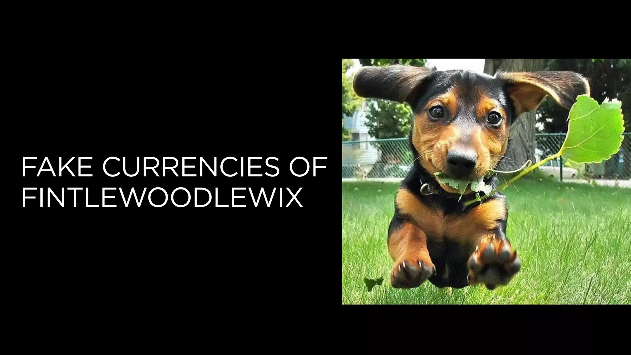 FAKE CURRENCIES OF
FINTLEWOODLEWIX
 