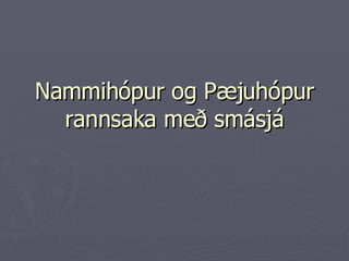 Nammihópur og Pæjuhópur rannsaka með smásjá 