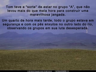 Tom teve a “sorte” de estar no grupo “A”, que não
levou mais do que meia hora para construir uma
maravilhosa jangada.
Um quarto de hora mais tarde, todo o grupo estava em
segurança e com os pés enxutos no outro lado do rio,
observando os grupos em sua luta desesperada.
 