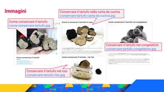 Laura Copelli
SEO Specialist
Immagini
Come conservare il tartufo
come-conservare-tartufo.jpg
Conservare il tartufo nella c...