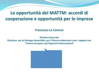 Le opportunità del MATTM: accordi di
cooperazione e opportunità per le imprese
Francesco La Camera
Direttore Generale
Direzione per lo Sviluppo Sostenibile, per il Danno ambientale e per i rapporti con
l’Unione Europea e gli Organismi Internazionali
 