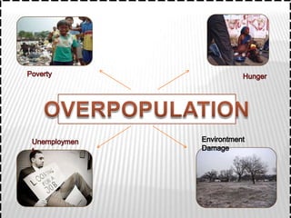 Overpopulation in Indonesia | PPTX