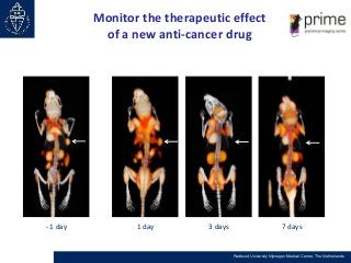 Monitor the therapeutic effect
of a new anti-cancer drug

- 1 day

1 day

3 days

7 days

Radboud University Nijmegen Medi...