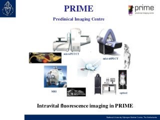 PRIME
Preclinical Imaging Centre

microSPECT

Intravital fluorescence imaging in PRIME
Radboud University Nijmegen Medical...