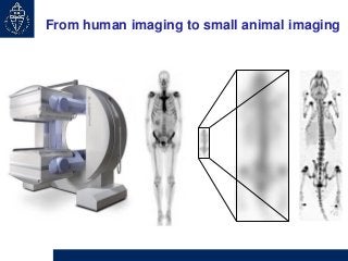 From human imaging to small animal imaging

 