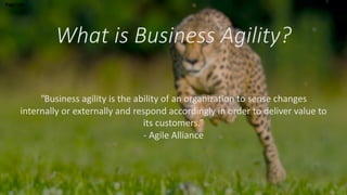 What is Business Agility?
Page title
"Business agility is the ability of an organization to sense changes
internally or externally and respond accordingly in order to deliver value to
its customers.”
- Agile Alliance
 