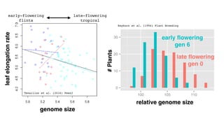 large
small
GENOME SIZE
 