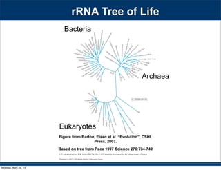 rRNA Tree of Life
Figure from Barton, Eisen et al. “Evolution”, CSHL
Press. 2007.
Based on tree from Pace 1997 Science 276:734-740
Archaea
Eukaryotes
Bacteria
Monday, April 29, 13
 