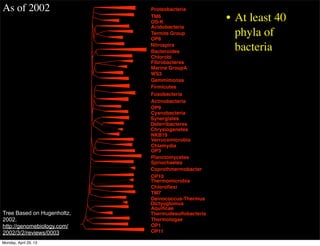 Acidobacteria
Bacteroides
Fibrobacteres
Gemmimonas
Verrucomicrobia
Planctomycetes
Chloroﬂexi
Proteobacteria
Chlorobi
Firmicutes
Fusobacteria
Actinobacteria
Cyanobacteria
Chlamydia
Spriochaetes
Deinococcus-Thermus
Aquiﬁcae
Thermotogae
TM6
OS-K
Termite Group
OP8
Marine GroupA
WS3
OP9
NKB19
OP3
OP10
TM7
OP1
OP11
Nitrospira
Synergistes
Deferribacteres
Thermudesulfobacteria
Chrysiogenetes
Thermomicrobia
Dictyoglomus
Coprothmermobacter
• At least 40
phyla of
bacteria
As of 2002
Tree Based on Hugenholtz,
2002.
http://genomebiology.com/
2002/3/2/reviews/0003
Monday, April 29, 13
 