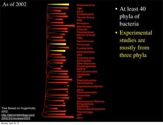 Acidobacteria
Bacteroides
Fibrobacteres
Gemmimonas
Verrucomicrobia
Planctomycetes
Chloroﬂexi
Proteobacteria
Chlorobi
Firmicutes
Fusobacteria
Actinobacteria
Cyanobacteria
Chlamydia
Spriochaetes
Deinococcus-Thermus
Aquiﬁcae
Thermotogae
TM6
OS-K
Termite Group
OP8
Marine GroupA
WS3
OP9
NKB19
OP3
OP10
TM7
OP1
OP11
Nitrospira
Synergistes
Deferribacteres
Thermudesulfobacteria
Chrysiogenetes
Thermomicrobia
Dictyoglomus
Coprothmermobacter
• At least 40
phyla of
bacteria
• Experimental
studies are
mostly from
three phyla
As of 2002
Tree Based on Hugenholtz,
2002.
http://genomebiology.com/
2002/3/2/reviews/0003
Monday, April 29, 13
 