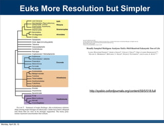 Syst. Biol. 59(5):518–533, 2010
c The Author(s) 2010. Published by Oxford University Press, on behalf of the Society of Systematic Biologists. All rights reserved.
For Permissions, please email: journals.permissions@oxfordjournals.org
DOI:10.1093/sysbio/syq037
Advance Access publication on July 23, 2010
Broadly Sampled Multigene Analyses Yield a Well-Resolved Eukaryotic Tree of Life
LAURA WEGENER PARFREY1
, JESSICA GRANT2
, YONAS I. TEKLE2,6
, ERICA LASEK-NESSELQUIST3,4
,
HILARY G. MORRISON3
, MITCHELL L. SOGIN3
, DAVID J. PATTERSON5
, AND LAURA A. KATZ1,2,∗
1Program in Organismic and Evolutionary Biology, University of Massachusetts, 611 North Pleasant Street, Amherst,
MA 01003, USA; 2Department of Biological Sciences, Smith College, 44 College Lane, Northampton, MA 01063, USA; 3Bay Paul Center for
Comparative Molecular Biology and Evolution, Marine Biological Laboratory, 7 MBL Street, Woods Hole, MA 02543, USA; 4Department of Ecology and
Evolutionary Biology, Brown University, 80 Waterman Street, Providence, RI 02912, USA; 5Biodiversity Informatics Group, Marine Biological
Laboratory, 7 MBL Street, Woods Hole, MA 02543, USA; 6Present address: Department of Epidemiology and Public Health, Yale University School of
Medicine, New Haven, CT 06520, USA;
∗Correspondence to be sent to: Laura A. Katz, 44 College Lane, Northampton, MA 01003, USA; E-mail: lkatz@smith.edu.
Laura Wegener Parfrey and Jessica Grant have contributed equally to this work.
Received 30 September 2009; reviews returned 1 December 2009; accepted 25 May 2010
Associate Editor: C´ecile An´e
Abstract.—An accurate reconstruction of the eukaryotic tree of life is essential to identify the innovations underlying the
diversity of microbial and macroscopic (e.g., plants and animals) eukaryotes. Previous work has divided eukaryotic diver-
sity into a small number of high-level “supergroups,” many of which receive strong support in phylogenomic analyses.
However, the abundance of data in phylogenomic analyses can lead to highly supported but incorrect relationships due
to systematic phylogenetic error. Furthermore, the paucity of major eukaryotic lineages (19 or fewer) included in these
genomic studies may exaggerate systematic error and reduce power to evaluate hypotheses. Here, we use a taxon-rich
strategy to assess eukaryotic relationships. We show that analyses emphasizing broad taxonomic sampling (up to 451 taxa
representing 72 major lineages) combined with a moderate number of genes yield a well-resolved eukaryotic tree of life.
The consistency across analyses with varying numbers of taxa (88–451) and levels of missing data (17–69%) supports the
accuracy of the resulting topologies. The resulting stable topology emerges without the removal of rapidly evolving genes
or taxa, a practice common to phylogenomic analyses. Several major groups are stable and strongly supported in these
analyses (e.g., SAR, Rhizaria, Excavata), whereas the proposed supergroup “Chromalveolata” is rejected. Furthermore, ex-
tensive instability among photosynthetic lineages suggests the presence of systematic biases including endosymbiotic gene
transfer from symbiont (nucleus or plastid) to host. Our analyses demonstrate that stable topologies of ancient evolutionary
relationships can be achieved with broad taxonomic sampling and a moderate number of genes. Finally, taxon-rich analy-
ses such as presented here provide a method for testing the accuracy of relationships that receive high bootstrap support
(BS) in phylogenomic analyses and enable placement of the multitude of lineages that lack genome scale data. [Excavata;
microbial eukaryotes; Rhizaria; supergroups; systematic error; taxon sampling.]
Perspectives on the structure of the eukaryotic tree
of life have shifted in the past decade as molecular
analyses provide hypotheses for relationships among
the approximately 75 robust lineages of eukaryotes.
These lineages are deﬁned by ultrastructural identities
(Patterson 1999)—patterns of cellular and subcellular
organization revealed by electron microscopy—and are
strongly supported in molecular analyses (Parfrey et al.
2006; Yoon et al. 2008). Most of these lineages now
fall within a small number of higher level clades, the
supergroups of eukaryotes (Simpson and Roger 2004;
Adl et al. 2005; Keeling et al. 2005). Several of these
clades—Opisthokonta, Rhizaria, and Amoebozoa—
marks throughout to note groups where uncertainties
remain. Moreover, it is difﬁcult to evaluate the overall
stability of major clades of eukaryotes because phyloge-
nomic analyses have 19 or fewer of the major lineages
and hence do not sufﬁciently sample eukaryotic diver-
sity (Rodr´ıguez-Ezpeleta et al. 2007b; Burki et al. 2008;
Hampl et al. 2009), whereas taxon-rich analyses with
4 or fewer genes yield topologies with poor support at
deep nodes (Cavalier-Smith 2004; Parfrey et al. 2006;
Yoon et al. 2008).
Estimating the relationships of the major lineages
of eukaryotes is difﬁcult because of both the ancient
age of eukaryotes (1.2–1.8 billion years; Knoll et al.
SYSTEMATIC BIOLOGY VOL. 59
uded all lin-
s additional
study (Table
rted, though
ed: i) Cerco-
Acantharea
adiolarians),
Plasmodio-
Fig. 3; Bass
a nematode-
lid amoebae
r to the plant
e SSU-rDNA
amoeba iso-
as Arachnula
nsistent with
trastructural
contaminant
omastix strix
6). Excavata
ause Malaw-
of Excavata
et al. 2009),
avata mem-
2006; Simp-
ests robustly
not have a
independent
tephanopogon
hin Heterolo-
Yubuki and
igmatic ﬂag-
inia anisocys-
m this study
on sampling
nalyses pro-
d representa-
mbined with
FIGURE 5. Summary of major ﬁndings—the evolutionary relation-
ships among major lineages of eukaryotes. Clades have been collapsed
into those that we view to be strongly supported. The many poly-
tomies represent uncertainties that remain.
FUNDING
This work was made possible by the US National
byguestonApril28,2013http://sysbio.oxfordjournals.org/Downloadedfrom
http://sysbio.oxfordjournals.org/content/59/5/518.full
Euks More Resolution but Simpler
Monday, April 29, 13
 