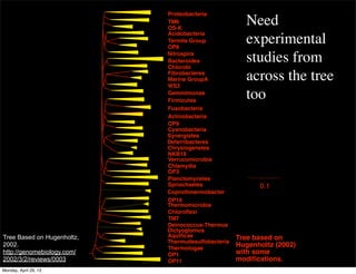 0.1
Acidobacteria
Bacteroides
Fibrobacteres
Gemmimonas
Verrucomicrobia
Planctomycetes
Chloroﬂexi
Proteobacteria
Chlorobi
Firmicutes
Fusobacteria
Actinobacteria
Cyanobacteria
Chlamydia
Spriochaetes
Deinococcus-Thermus
Aquiﬁcae
Thermotogae
TM6
OS-K
Termite Group
OP8
Marine GroupA
WS3
OP9
NKB19
OP3
OP10
TM7
OP1
OP11
Nitrospira
Synergistes
Deferribacteres
Thermudesulfobacteria
Chrysiogenetes
Thermomicrobia
Dictyoglomus
Coprothmermobacter
Tree based on
Hugenholtz (2002)
with some
modiﬁcations.
Need
experimental
studies from
across the tree
too
Tree Based on Hugenholtz,
2002.
http://genomebiology.com/
2002/3/2/reviews/0003
Monday, April 29, 13
 