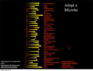 0.1
Acidobacteria
Bacteroides
Fibrobacteres
Gemmimonas
Verrucomicrobia
Planctomycetes
Chloroﬂexi
Proteobacteria
Chlorobi
Firmicutes
Fusobacteria
Actinobacteria
Cyanobacteria
Chlamydia
Spriochaetes
Deinococcus-Thermus
Aquiﬁcae
Thermotogae
TM6
OS-K
Termite Group
OP8
Marine GroupA
WS3
OP9
NKB19
OP3
OP10
TM7
OP1
OP11
Nitrospira
Synergistes
Deferribacteres
Thermudesulfobacteria
Chrysiogenetes
Thermomicrobia
Dictyoglomus
Coprothmermobacter
Tree based on
Hugenholtz (2002)
with some
modiﬁcations.
Adopt a
Microbe
Tree Based on Hugenholtz,
2002.
http://genomebiology.com/
2002/3/2/reviews/0003
Monday, April 29, 13
 