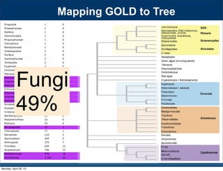 Priapulida 1 0
Phaeophyceae 1 0
Rotifera 1 0
Hemichordata 1 0
Pinguiophyceae 1 0
Ctenophora 1 0
Bolidophyceae 1 0
Chaetognatha 1 0
Porifera 2 0
Xanthophyceae 2 0
Tardigrada 2 0
Euglenida 2 0
Chromerida 3 0
Placozoa 3 0
Glomeromycota 3 0
Cryptomycota 4 0
Blastocladiomycota 5 0
Echinodermata 6 0
Entomophthoromycota 9 0
Chytridiomycota 12 0
Neocallimastigomycota 12 0
Annelida 13 0
Eustigmatophyceae 13 0
Cnidaria 18 0
Bacillariophyta 21 0
Platyhelminthes 23 0
Mollusca 25 0
Microsporidia 31 1
Chlorophyta 77 1
Nematoda 110 2
Apicomplexa 264 5
Arthropoda 370 7
Chordata 626 12
Streptophyta 796 15
Basidiomycota 976 18
Ascomycota 1,251 23
530 SYSTEMATIC BIOLOGY VOL. 59
a 97-taxon data set of Rhizaria that included all lin-
eages with previously published data plus additional
multigene data for 12 taxa added for this study (Table
S1). Three major clades are strongly supported, though
the relationships among them are unresolved: i) Cerco-
zoa, ii) Foraminifera plus Polycystinea and Acantharea
(formerly classiﬁed with Phaeodarea as radiolarians),
and (iii) the parasitic Haplosporidia and Plasmodio-
phorida with Gromia and vampyrellids (Fig. 3; Bass
et al. 2009). We show that Theratromyxa, a nematode-
eating soil amoeba, is related to vampyrellid amoebae
(Fig. 3; 100% BS), and together they are sister to the plant
parasites plasmodiophorids (100% BS). The SSU-rDNA
sequence for Theratromyxa is identical to an amoeba iso-
lated from Siberia where it was identiﬁed as Arachnula
impatiens (EU567294; Bass et al. 2009).
The topology within the Excavata is consistent with
previous hypotheses and clades with ultrastructural
identities (Simpson 2003; Fig. 4), when contaminant
EST data originally mislabeled as Streblomastix strix
are excluded (Slamovits and Keeling 2006). Excavata
is often polyphyletic in other analyses because Malaw-
imonas branches outside the other clades of Excavata
(Rodr´ıguez-Ezpeleta et al. 2007a; Hampl et al. 2009),
whereas in analyses of fewer genes Excavata mem-
bers fall into 2 or 3 clades (Parfrey et al. 2006; Simp-
son et al. 2006). Although Malawimonas nests robustly
within Excavata in our analyses, it does not have a
stable sister group and may represent an independent
lineage (Fig. 4). Our analyses conﬁrm that Stephanopogon
(unplaced in Patterson 1999) branches within Heterolo-
bosea (Cavalier-Smith and Nikolaev 2008; Yubuki and
Leander 2008) and suggests that another enigmatic ﬂag-
ellate, ATCC 50646 (tentatively named Soginia anisocys-
tis) is a basal member of Heterolobosea.
FIGURE 5. Summary of major ﬁndings—the evolutionary relation-
ships among major lineages of eukaryotes. Clades have been collapsed
included all lin-
a plus additional
this study (Table
esolved: i) Cerco-
as radiolarians),
and Plasmodio-
Bass
a nematode-
pyrellid amoebae
sister to the plant
to an amoeba iso-
Arachnula
th ultrastructural
hen contaminant
). Excavata
Malaw-
),
s Excavata mem-
Simp-
t an independent
within Heterolo-
er enigmatic ﬂag-
Soginia anisocys-
Fungi
49%
Mapping GOLD to Tree
Monday, April 29, 13
 