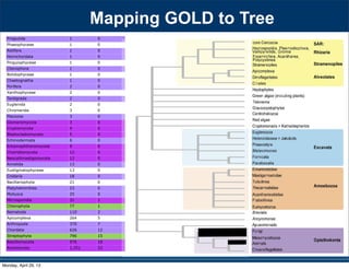 Priapulida 1 0
Phaeophyceae 1 0
Rotifera 1 0
Hemichordata 1 0
Pinguiophyceae 1 0
Ctenophora 1 0
Bolidophyceae 1 0
Chaetognatha 1 0
Porifera 2 0
Xanthophyceae 2 0
Tardigrada 2 0
Euglenida 2 0
Chromerida 3 0
Placozoa 3 0
Glomeromycota 3 0
Cryptomycota 4 0
Blastocladiomycota 5 0
Echinodermata 6 0
Entomophthoromycota 9 0
Chytridiomycota 12 0
Neocallimastigomycota 12 0
Annelida 13 0
Eustigmatophyceae 13 0
Cnidaria 18 0
Bacillariophyta 21 0
Platyhelminthes 23 0
Mollusca 25 0
Microsporidia 31 1
Chlorophyta 77 1
Nematoda 110 2
Apicomplexa 264 5
Arthropoda 370 7
Chordata 626 12
Streptophyta 796 15
Basidiomycota 976 18
Ascomycota 1,251 23
530 SYSTEMATIC BIOLOGY VOL. 59
a 97-taxon data set of Rhizaria that included all lin-
eages with previously published data plus additional
multigene data for 12 taxa added for this study (Table
S1). Three major clades are strongly supported, though
the relationships among them are unresolved: i) Cerco-
zoa, ii) Foraminifera plus Polycystinea and Acantharea
(formerly classiﬁed with Phaeodarea as radiolarians),
and (iii) the parasitic Haplosporidia and Plasmodio-
phorida with Gromia and vampyrellids (Fig. 3; Bass
et al. 2009). We show that Theratromyxa, a nematode-
eating soil amoeba, is related to vampyrellid amoebae
(Fig. 3; 100% BS), and together they are sister to the plant
parasites plasmodiophorids (100% BS). The SSU-rDNA
sequence for Theratromyxa is identical to an amoeba iso-
lated from Siberia where it was identiﬁed as Arachnula
impatiens (EU567294; Bass et al. 2009).
The topology within the Excavata is consistent with
previous hypotheses and clades with ultrastructural
identities (Simpson 2003; Fig. 4), when contaminant
EST data originally mislabeled as Streblomastix strix
are excluded (Slamovits and Keeling 2006). Excavata
is often polyphyletic in other analyses because Malaw-
imonas branches outside the other clades of Excavata
(Rodr´ıguez-Ezpeleta et al. 2007a; Hampl et al. 2009),
whereas in analyses of fewer genes Excavata mem-
bers fall into 2 or 3 clades (Parfrey et al. 2006; Simp-
son et al. 2006). Although Malawimonas nests robustly
within Excavata in our analyses, it does not have a
stable sister group and may represent an independent
lineage (Fig. 4). Our analyses conﬁrm that Stephanopogon
(unplaced in Patterson 1999) branches within Heterolo-
bosea (Cavalier-Smith and Nikolaev 2008; Yubuki and
Leander 2008) and suggests that another enigmatic ﬂag-
ellate, ATCC 50646 (tentatively named Soginia anisocys-
tis) is a basal member of Heterolobosea.
FIGURE 5. Summary of major ﬁndings—the evolutionary relation-
ships among major lineages of eukaryotes. Clades have been collapsed
included all lin-
a plus additional
this study (Table
esolved: i) Cerco-
as radiolarians),
and Plasmodio-
Bass
a nematode-
pyrellid amoebae
sister to the plant
to an amoeba iso-
Arachnula
th ultrastructural
hen contaminant
). Excavata
Malaw-
),
s Excavata mem-
Simp-
t an independent
within Heterolo-
er enigmatic ﬂag-
Soginia anisocys-
Mapping GOLD to Tree
Monday, April 29, 13
 