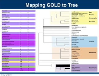 Priapulida 1 0
Phaeophyceae 1 0
Rotifera 1 0
Hemichordata 1 0
Pinguiophyceae 1 0
Ctenophora 1 0
Bolidophyceae 1 0
Chaetognatha 1 0
Porifera 2 0
Xanthophyceae 2 0
Tardigrada 2 0
Euglenida 2 0
Chromerida 3 0
Placozoa 3 0
Glomeromycota 3 0
Cryptomycota 4 0
Blastocladiomycota 5 0
Echinodermata 6 0
Entomophthoromycota 9 0
Chytridiomycota 12 0
Neocallimastigomycota 12 0
Annelida 13 0
Eustigmatophyceae 13 0
Cnidaria 18 0
Bacillariophyta 21 0
Platyhelminthes 23 0
Mollusca 25 0
Microsporidia 31 1
Chlorophyta 77 1
Nematoda 110 2
Apicomplexa 264 5
Arthropoda 370 7
Chordata 626 12
Streptophyta 796 15
Basidiomycota 976 18
Ascomycota 1,251 23
530 SYSTEMATIC BIOLOGY VOL. 59
a 97-taxon data set of Rhizaria that included all lin-
eages with previously published data plus additional
multigene data for 12 taxa added for this study (Table
S1). Three major clades are strongly supported, though
the relationships among them are unresolved: i) Cerco-
zoa, ii) Foraminifera plus Polycystinea and Acantharea
(formerly classiﬁed with Phaeodarea as radiolarians),
and (iii) the parasitic Haplosporidia and Plasmodio-
phorida with Gromia and vampyrellids (Fig. 3; Bass
et al. 2009). We show that Theratromyxa, a nematode-
eating soil amoeba, is related to vampyrellid amoebae
(Fig. 3; 100% BS), and together they are sister to the plant
parasites plasmodiophorids (100% BS). The SSU-rDNA
sequence for Theratromyxa is identical to an amoeba iso-
lated from Siberia where it was identiﬁed as Arachnula
impatiens (EU567294; Bass et al. 2009).
The topology within the Excavata is consistent with
previous hypotheses and clades with ultrastructural
identities (Simpson 2003; Fig. 4), when contaminant
EST data originally mislabeled as Streblomastix strix
are excluded (Slamovits and Keeling 2006). Excavata
is often polyphyletic in other analyses because Malaw-
imonas branches outside the other clades of Excavata
(Rodr´ıguez-Ezpeleta et al. 2007a; Hampl et al. 2009),
whereas in analyses of fewer genes Excavata mem-
bers fall into 2 or 3 clades (Parfrey et al. 2006; Simp-
son et al. 2006). Although Malawimonas nests robustly
within Excavata in our analyses, it does not have a
stable sister group and may represent an independent
lineage (Fig. 4). Our analyses conﬁrm that Stephanopogon
(unplaced in Patterson 1999) branches within Heterolo-
bosea (Cavalier-Smith and Nikolaev 2008; Yubuki and
Leander 2008) and suggests that another enigmatic ﬂag-
ellate, ATCC 50646 (tentatively named Soginia anisocys-
tis) is a basal member of Heterolobosea.
FIGURE 5. Summary of major ﬁndings—the evolutionary relation-
ships among major lineages of eukaryotes. Clades have been collapsed
included all lin-
a plus additional
this study (Table
esolved: i) Cerco-
as radiolarians),
and Plasmodio-
Bass
a nematode-
pyrellid amoebae
sister to the plant
to an amoeba iso-
Arachnula
th ultrastructural
hen contaminant
). Excavata
Malaw-
),
s Excavata mem-
Simp-
t an independent
within Heterolo-
er enigmatic ﬂag-
Soginia anisocys-
Mapping GOLD to Tree
Monday, April 29, 13
 