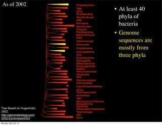 Acidobacteria
Bacteroides
Fibrobacteres
Gemmimonas
Verrucomicrobia
Planctomycetes
Chloroﬂexi
Proteobacteria
Chlorobi
Firmicutes
Fusobacteria
Actinobacteria
Cyanobacteria
Chlamydia
Spriochaetes
Deinococcus-Thermus
Aquiﬁcae
Thermotogae
TM6
OS-K
Termite Group
OP8
Marine GroupA
WS3
OP9
NKB19
OP3
OP10
TM7
OP1
OP11
Nitrospira
Synergistes
Deferribacteres
Thermudesulfobacteria
Chrysiogenetes
Thermomicrobia
Dictyoglomus
Coprothmermobacter
• At least 40
phyla of
bacteria
• Genome
sequences are
mostly from
three phyla
As of 2002
Tree Based on Hugenholtz,
2002.
http://genomebiology.com/
2002/3/2/reviews/0003
Monday, April 29, 13
 