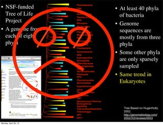 Acidobacteria
Bacteroides
Fibrobacteres
Gemmimonas
Verrucomicrobia
Planctomycetes
Chloroﬂexi
Proteobacteria
Chlorobi
Firmicutes
Fusobacteria
Actinobacteria
Cyanobacteria
Chlamydia
Spriochaetes
Deinococcus-Thermus
Aquiﬁcae
Thermotogae
TM6
OS-K
Termite Group
OP8
Marine GroupA
WS3
OP9
NKB19
OP3
OP10
TM7
OP1
OP11
Nitrospira
Synergistes
Deferribacteres
Thermudesulfobacteria
Chrysiogenetes
Thermomicrobia
Dictyoglomus
Coprothmermobacter
• At least 40 phyla
of bacteria
• Genome
sequences are
mostly from three
phyla
• Some other phyla
are only sparsely
sampled
• Same trend in
Eukaryotes
• NSF-funded
Tree of Life
Project
• A genome from
each of eight
phyla
Eisen & Ward, PIs Tree Based on Hugenholtz,
2002.
http://genomebiology.com/
2002/3/2/reviews/0003
Monday, April 29, 13
 