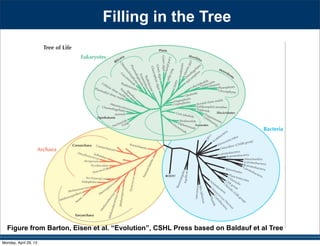 Filling in the Tree
Figure from Barton, Eisen et al. “Evolution”, CSHL Press based on Baldauf et al Tree
Monday, April 29, 13
 