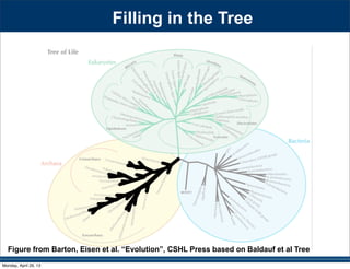 Figure from Barton, Eisen et al. “Evolution”, CSHL Press based on Baldauf et al Tree
Filling in the Tree
Monday, April 29, 13
 