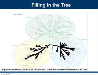 Figure from Barton, Eisen et al. “Evolution”, CSHL Press based on Baldauf et al Tree
Filling in the Tree
Monday, April 29, 13
 