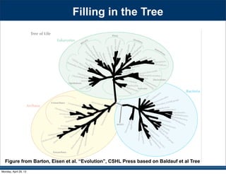 Figure from Barton, Eisen et al. “Evolution”, CSHL Press based on Baldauf et al Tree
Filling in the Tree
Monday, April 29, 13
 