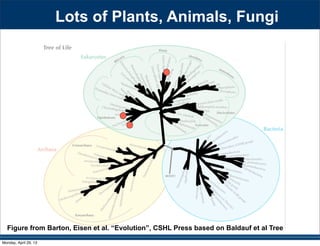 Lots of Plants, Animals, Fungi
Figure from Barton, Eisen et al. “Evolution”, CSHL Press based on Baldauf et al Tree
Monday, April 29, 13
 