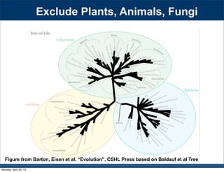 Exclude Plants, Animals, Fungi
Figure from Barton, Eisen et al. “Evolution”, CSHL Press based on Baldauf et al Tree
Monday, April 29, 13
 
