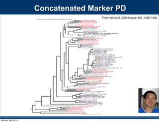 Concatenated Marker PD
From Wu et al. 2009 Nature 462, 1056-1060
Monday, April 29, 13
 