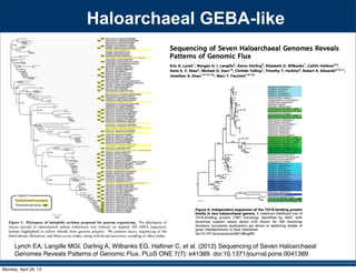 Haloarchaeal GEBA-like
Lynch EA, Langille MGI, Darling A, Wilbanks EG, Haltiner C, et al. (2012) Sequencing of Seven Haloarchaeal
Genomes Reveals Patterns of Genomic Flux. PLoS ONE 7(7): e41389. doi:10.1371/journal.pone.0041389
Monday, April 29, 13
 