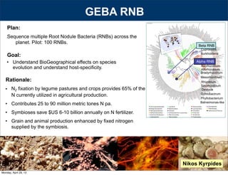 88
Plan:
Sequence multiple Root Nodule Bacteria (RNBs) across the
planet. Pilot: 100 RNBs.
Alpha RNB
Bradyrhizobium
Mesorhizobium
Rhizobium
Beta RNB
Sinorhizobium
Cupriavidis
Burkholderia
Balneimonas-like
Devosia
Ochrobactrum
Phyllobacterium
Azorhizobium
Allorhizobium
Goal:
• Understand BioGeographical effects on species
evolution and understand host-specificity.
Rationale:
• N2 fixation by legume pastures and crops provides 65% of the
N currently utilized in agricultural production.
• Contributes 25 to 90 million metric tones N pa.
• Symbioses save $US 6-10 billion annually on N fertilizer.
• Grain and animal production enhanced by fixed nitrogen
supplied by the symbiosis.
Nikos Kyrpides
GEBA RNB
Monday, April 29, 13
 