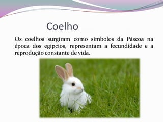 Coelho
Os coelhos surgiram como símbolos da Páscoa na
época dos egípcios, representam a fecundidade e a
reprodução constante de vida.
 