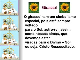 Girassol  O girassol tem um simbolismo especial, pois está sempre voltado para o Sol, astro-rei, assim como nossas almas, que devemos estar viradas para o Divino – Sol, ou seja, Cristo Ressuscitado.    