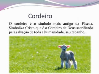 Cordeiro
O cordeiro é o símbolo mais antigo da Páscoa.
Simboliza Cristo que é o Cordeiro de Deus sacrificado
pela salvação de toda a humanidade, seu rebanho.
 