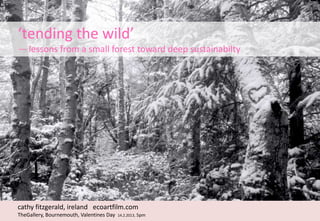 ‘tending the wild’
— lessons from a small forest toward deep sustainabilty
                           Thank you
                       valentines day
  hopper tp be speaking as so many in UK
     have stood up for your forests in the
                          last 2 years



cathy fitzgerald, ireland ecoartfilm.com
TheGallery, Bournemouth, Valentines Day   14.2.2013, 5pm
 