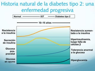 Normal IGT Diabetes tipo 2
Glucosa
pos-
prandial
Tolerancia anormal
a la glucosa
Resistencia
a la insulina
Resistencia aum...